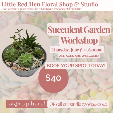 June Succulent Planter Workshop