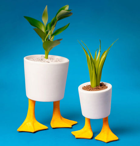 Duck Feet Planter