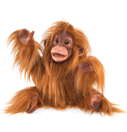 Baby Orangutan
