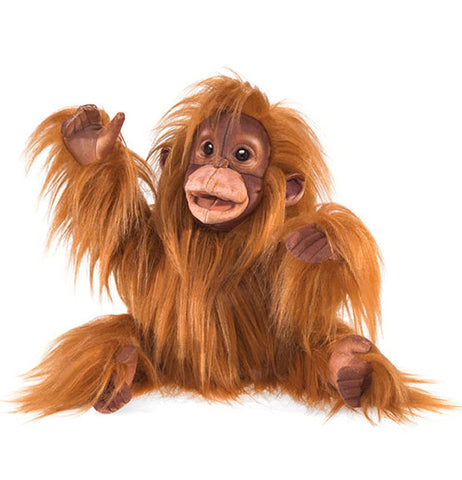 Baby Orangutan