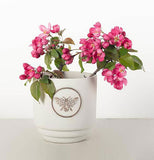 Bee Flower Pot