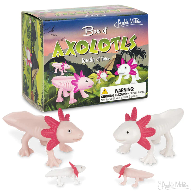 Box of Happy Axolotls