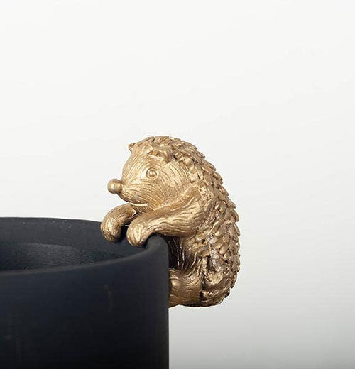 Hedgehog Flower Pot Decoration, Small