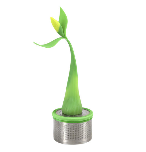 Camellia Tea Magnet &amp; Infuser Set