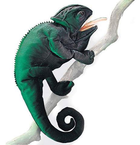 Chameleon