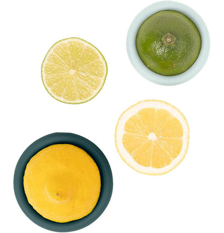 Citrus Saver