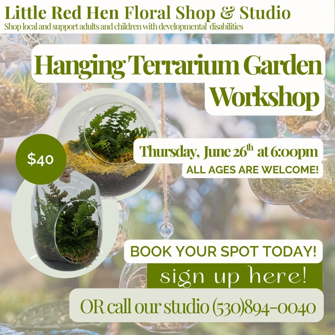 June Hanging Terrarium Workshop