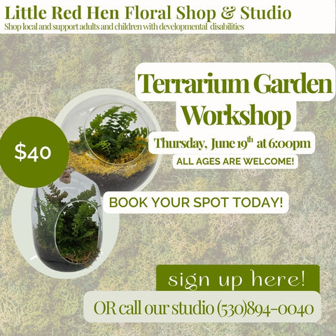 June Terrarium Garden Workshop