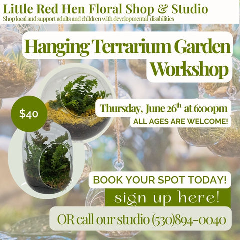 June Hanging Terrarium Workshop