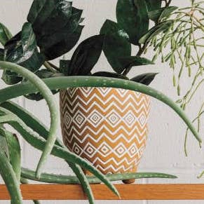 "Saffron" Spark Plant Pot
