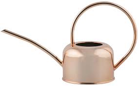 Copper Watering Can with Long Spout