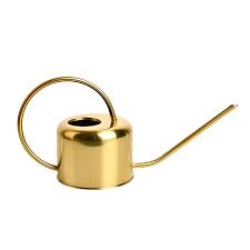 Gold Gooseneck Watering Can