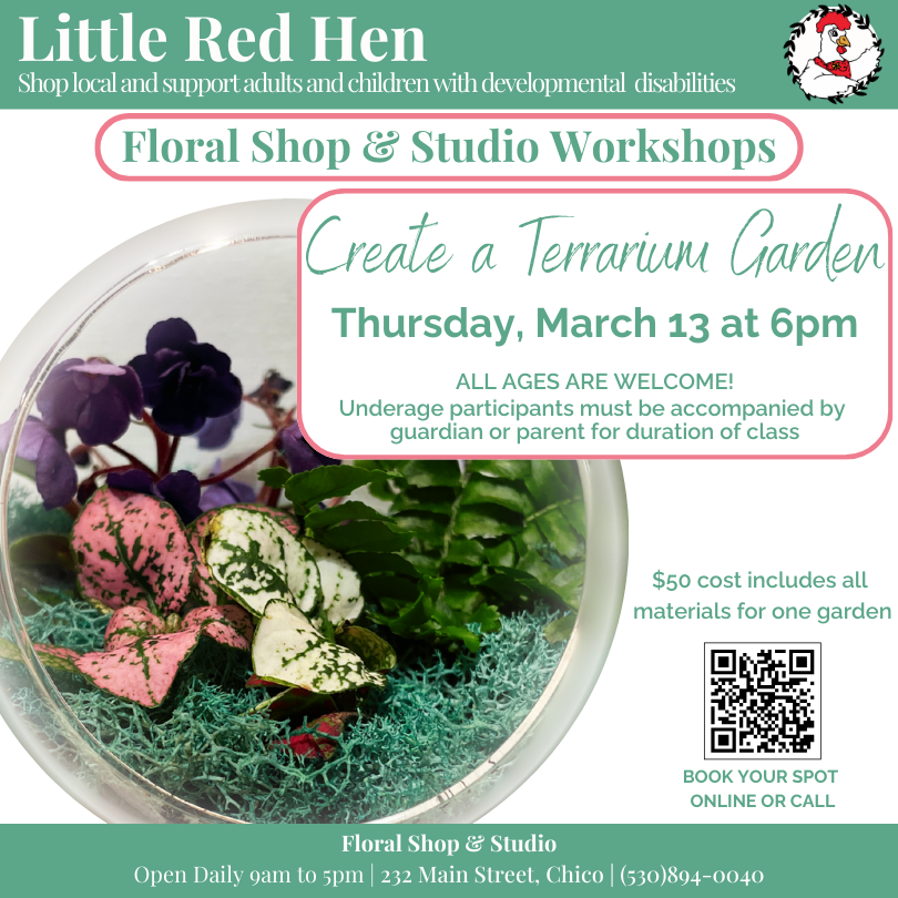 Terrarium Garden Workshop