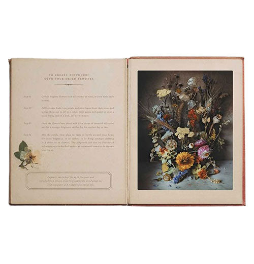 Flowers of Provence by Jamie Beck