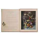 Flowers of Provence by Jamie Beck