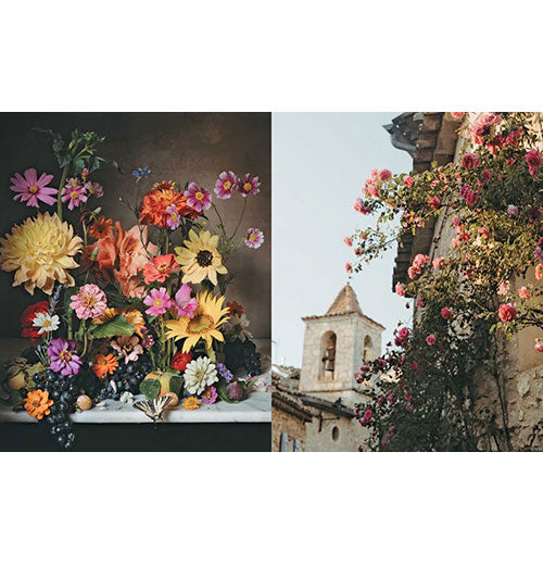Flowers of Provence by Jamie Beck