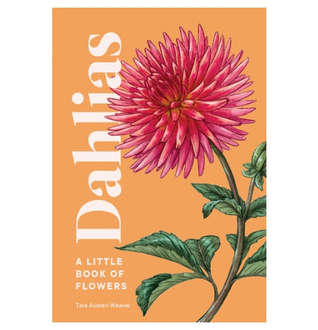 Dahlias