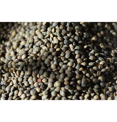 French Style Green Lentils