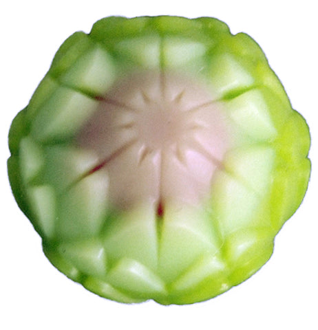 Vegetable Bottle Stoppers