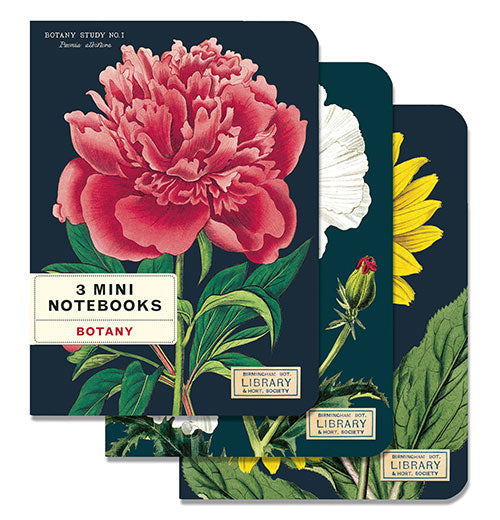 3 Mini Notebooks (S/3)