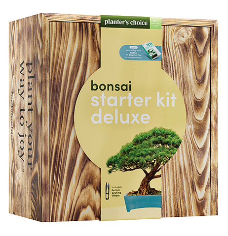 Planter's Choice Bonsai Growing Kit – Little Red Hen