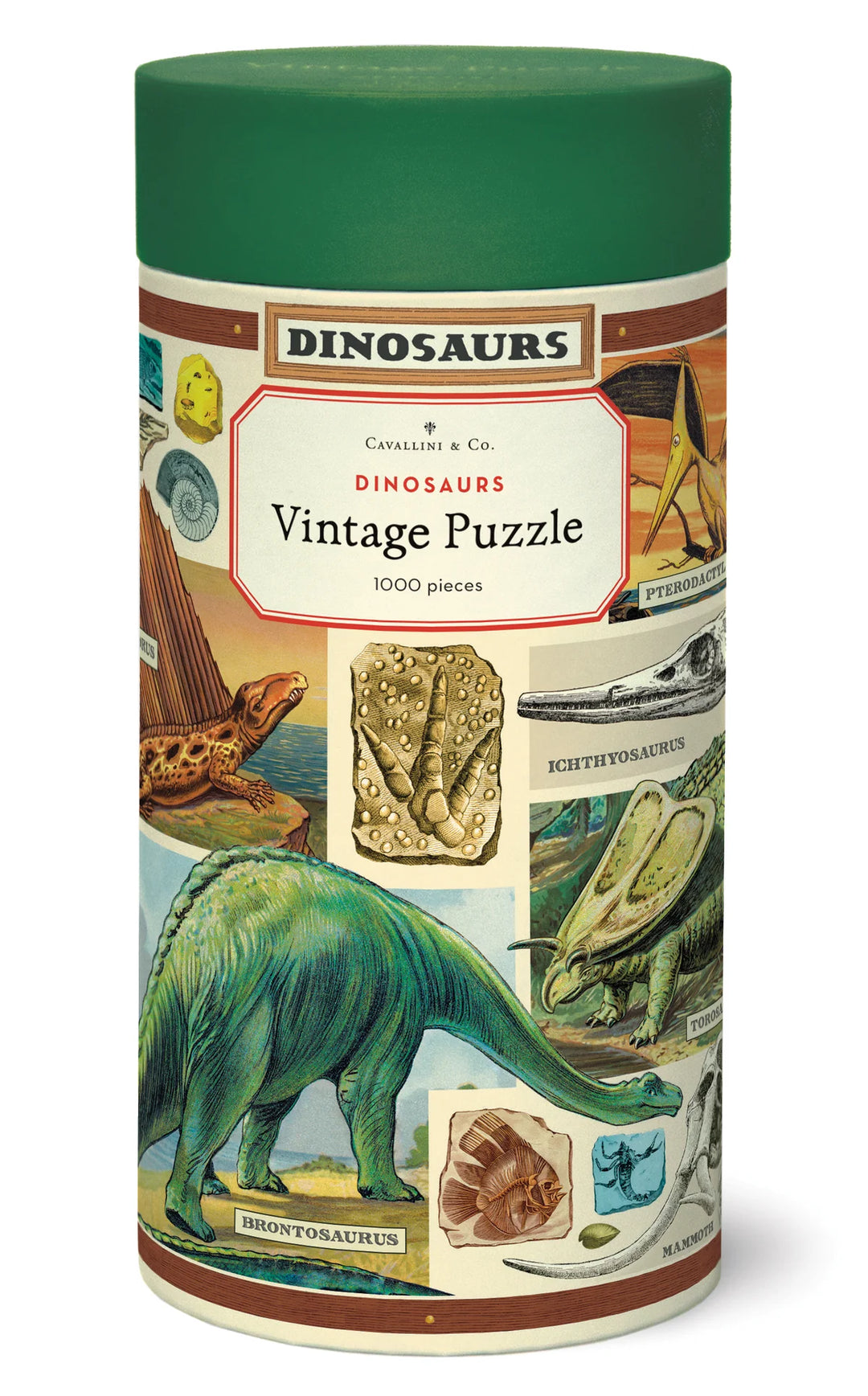 Dinosaurs 1000 Piece Puzzle