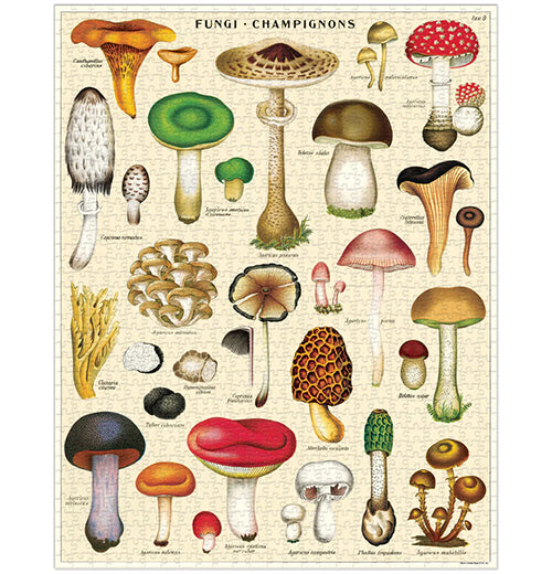 Mushrooms 1000-Piece Puzzle