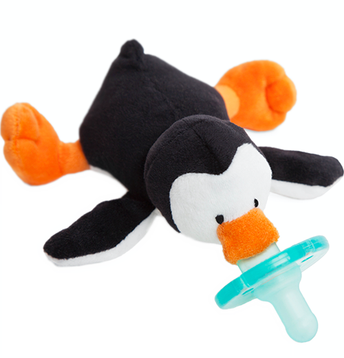 Infant Pacifier