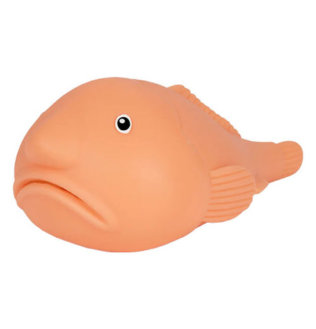 Groaning Blobfish