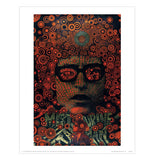Psychedelic Posters Print