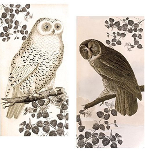 "Vintage Owl" Matchbox