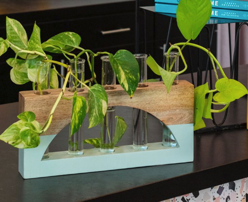 Lotem Propagation Stand