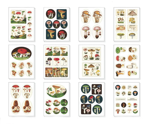 Tin of Stickers "Mushrooms"