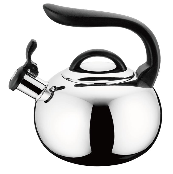 Traditional Stainless Steel Tea Kettle