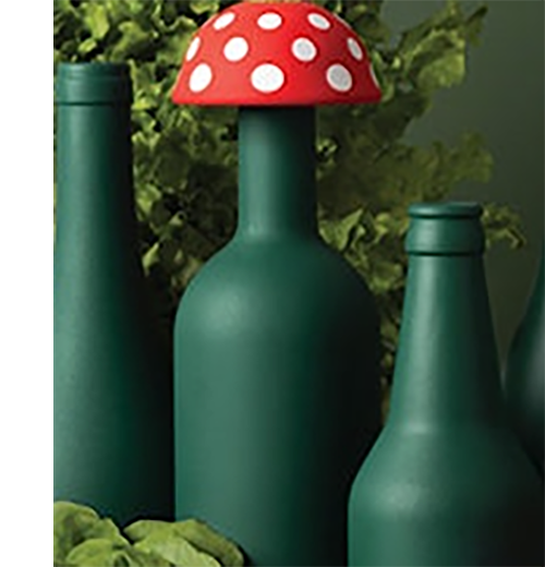 Magic Mushroom Funnel