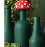 Magic Mushroom Funnel