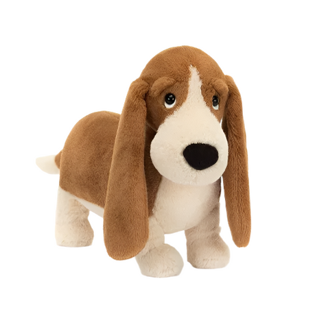 Randall Basset Hound