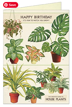 "Happy Birthday House Plants" Greeting Card