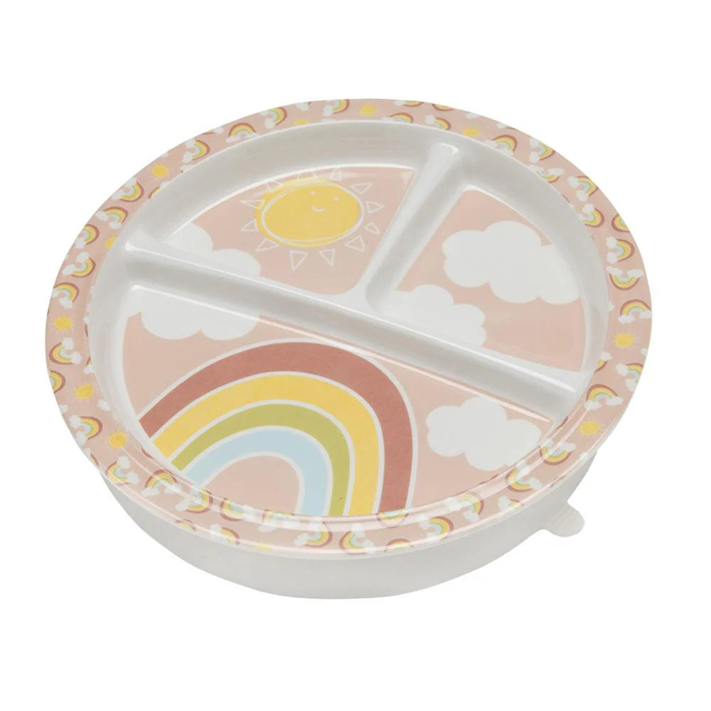 Divided Suction Plate Rainbow