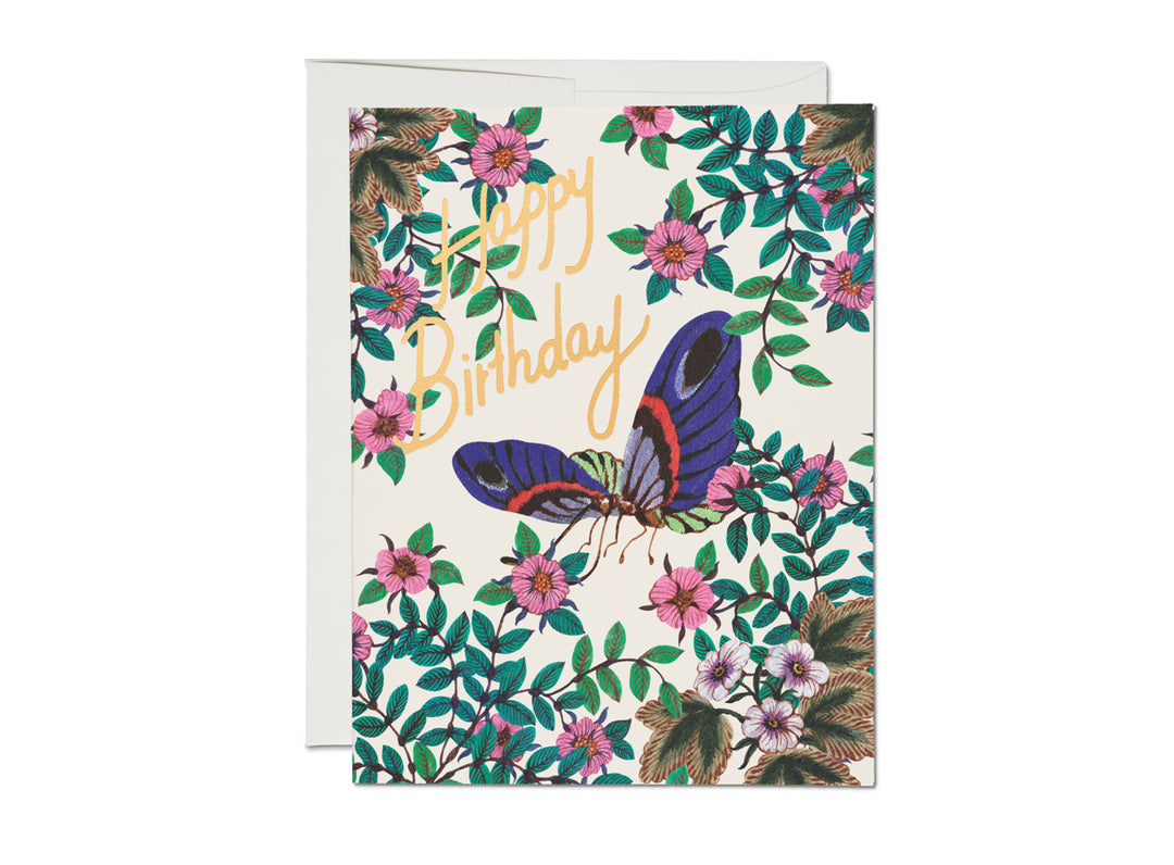 Happy Birthday - Butterfly Card