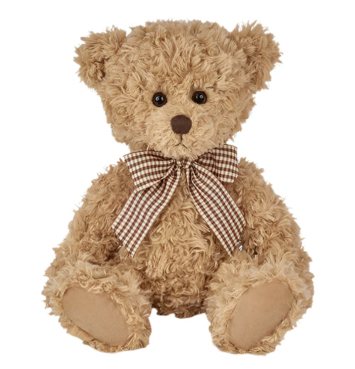 Theodore the Teddy Bear