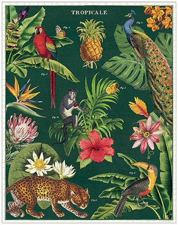 Tropicale 1000-Piece Puzzle