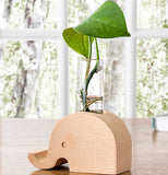 Elephant Propagation Vase