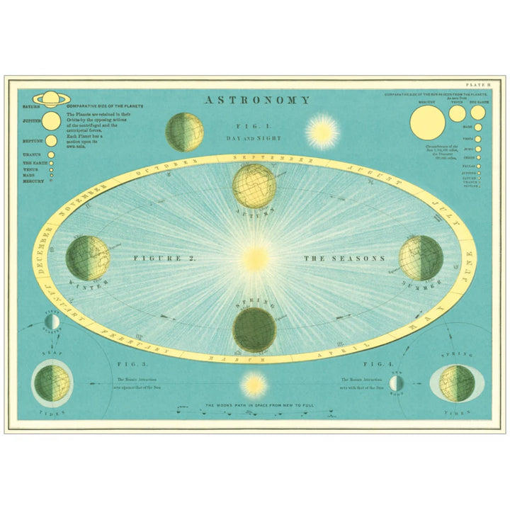Science &amp; Education Poster Wrap