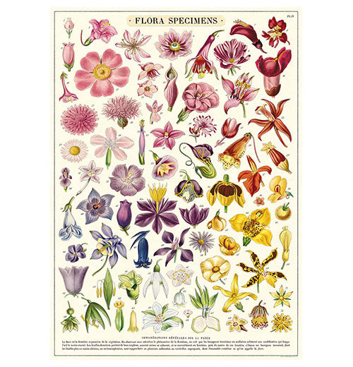 Botanical Poster Wrap
