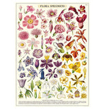 Botanical Poster Wrap