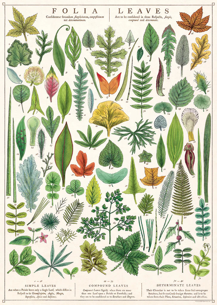 Botanical Poster Wrap