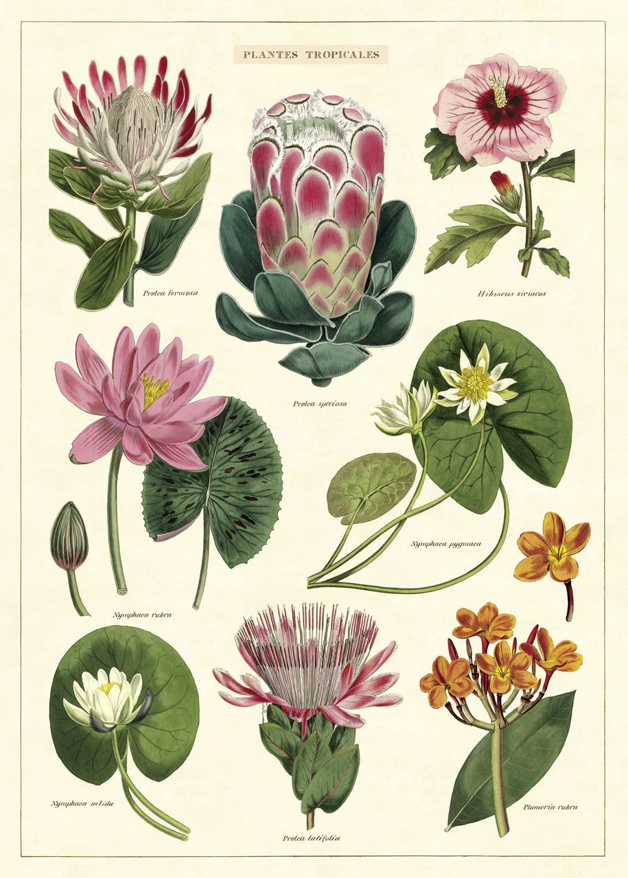 Botanical Poster Wrap