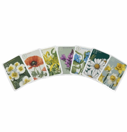 Wildflower Sevens Card Game