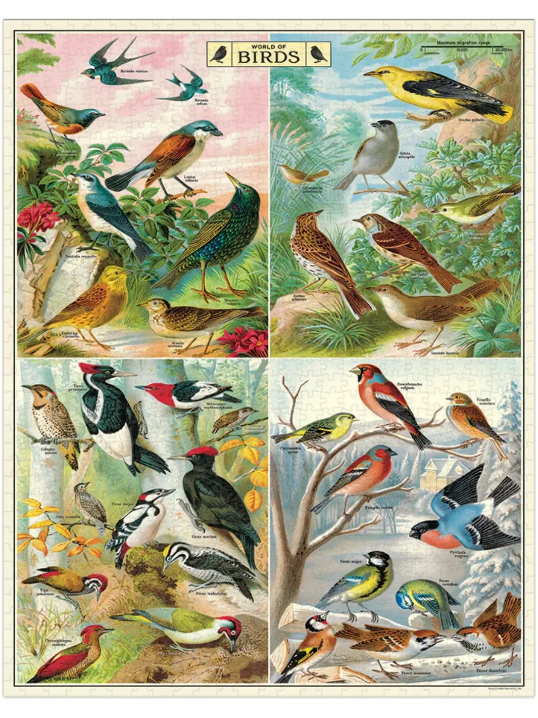 World of Birds 1,000 Piece Puzzle